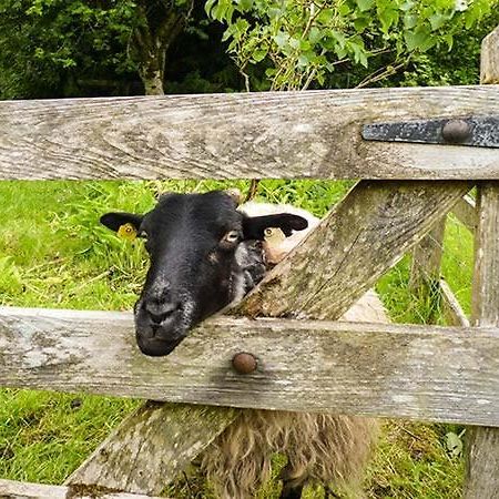 Hawthorn Farm Cottage Curry エクステリア 写真