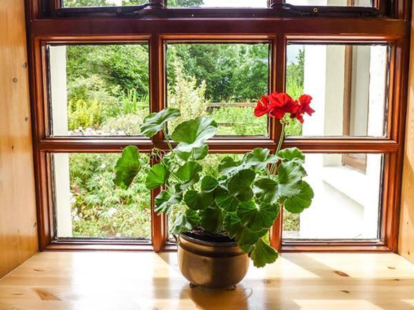 Hawthorn Farm Cottage Curry エクステリア 写真