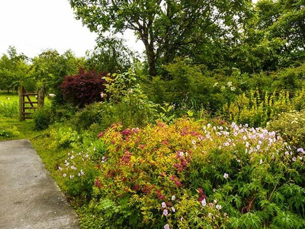 Hawthorn Farm Cottage Curry エクステリア 写真
