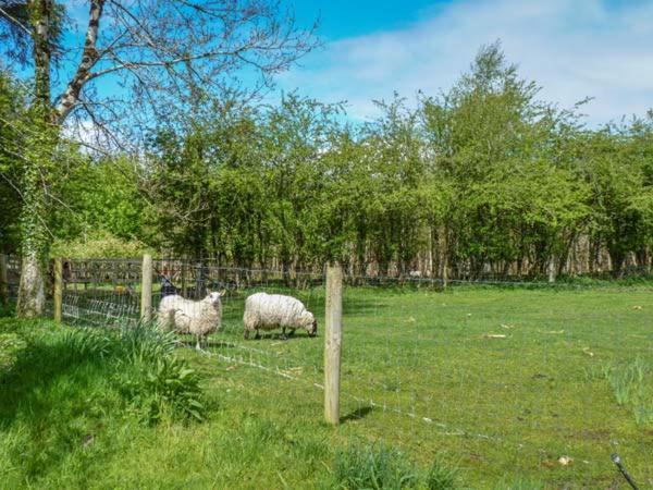 Hawthorn Farm Cottage Curry エクステリア 写真