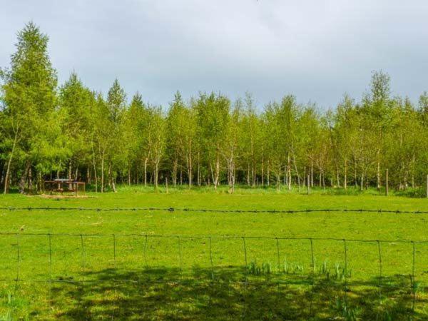 Hawthorn Farm Cottage Curry エクステリア 写真